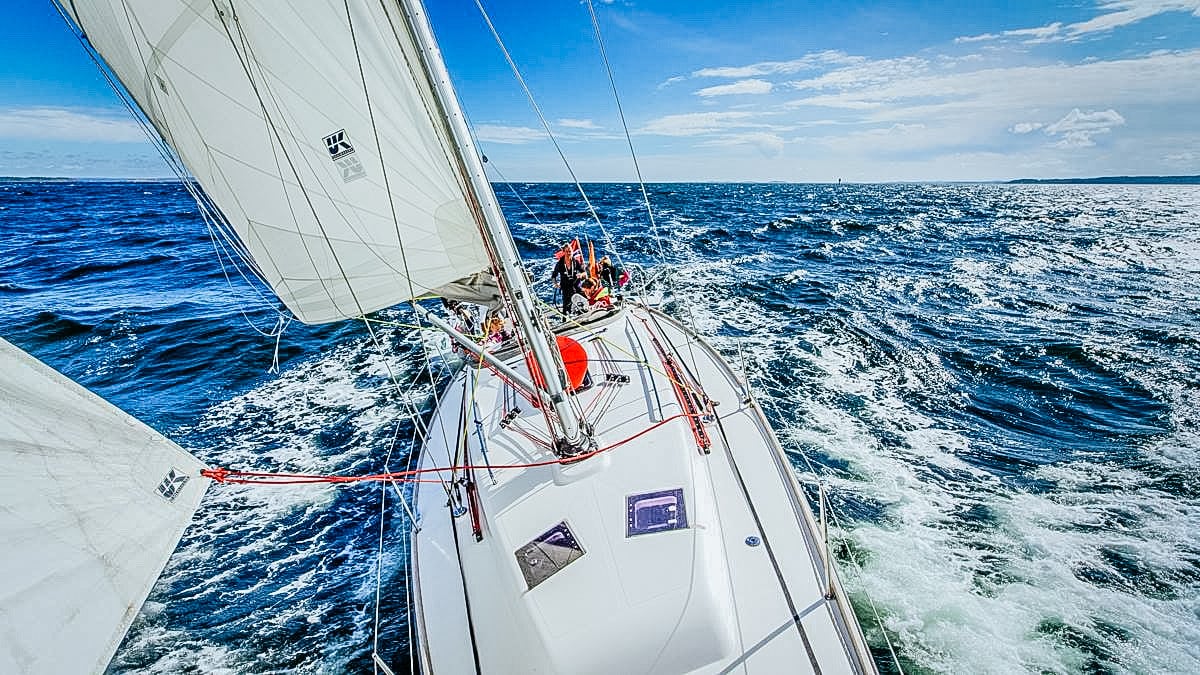 image 493d755d 3698 44d6 976a 9c20c4b5bec9